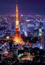 夜は、あの場所で……🌙*゚