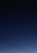 風を掴みに