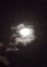 綺麗な空一緒に見ませんか?