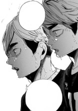宮ツインズと角名に愛されて