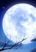 私、自殺したら転生してました。