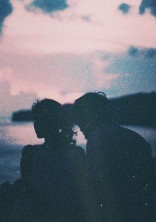 植 物 図 鑑 -our story-