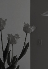 余 命 _ 年 。