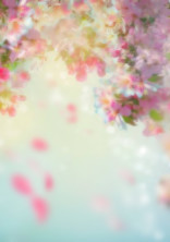 秘密の部屋