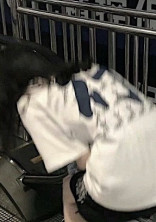 こ む ど っ と が ー る .