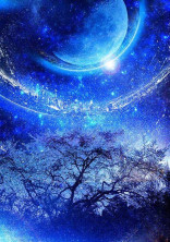 一番星《ファンクラブ》