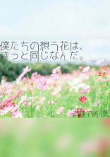 僕たちの想う花は、きっと同じなんだ。