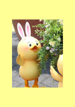 💛🐥🧀🍋💫🌙🌼