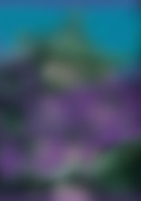 なんだかんだ君が好き。