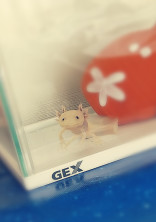 ふこー体質の人がなんかすゆ