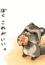 タヌキの日常