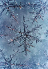 新〖*雪柱の悲痛*〗