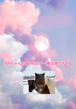 フォロワー様は見て!