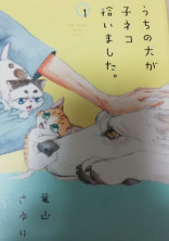 うちの犬が子ネコを拾いました。