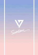 SEVENTEENのヨジャマンネですが何か。