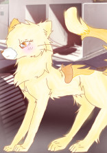 ねこが理想の姿だったら...