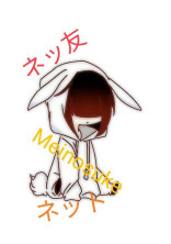 ネットの人生