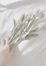 愛 の カ タ チ
