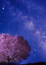 星柱様魔法の世界へようこそ♮