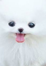 気持ち