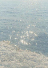 あの夏が飽和する。