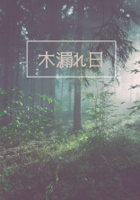 木漏れ日