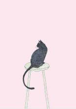 猫に変身できました。
