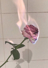 は れ は い つ 。