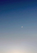 骨の髄まで愛してる.