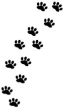 猫のお役目は。