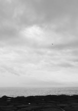 ☁️ 作 品 保 管 庫 ☁️
