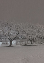 オオカミくんとSnow Girl
