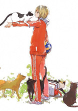 音駒には子犬がいました