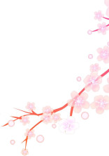 あの桜の木下で…