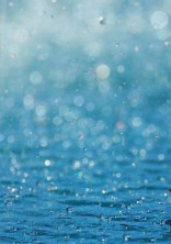 雨の為の世界