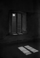 少しでいいので光を見して…【ヒロアカ】