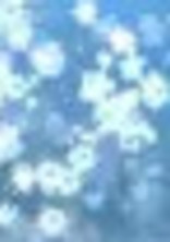木兎の姉は男バレ所属だそうで?