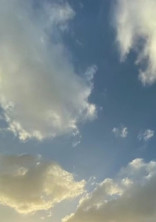 今日好きになりました。