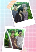 花螳螂と蜘蛛