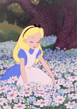 はなみずきの活動報告