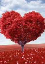 LOVE…