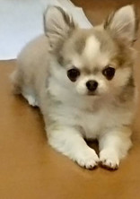 転生ねー、、、え!転生!?