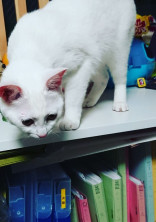 楽しい学校生活?