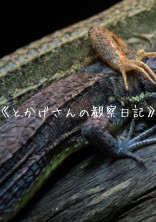 《とかげさんの観察日記》