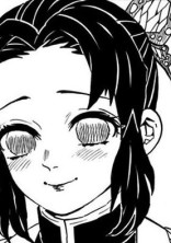 胡蝶を守りたい
