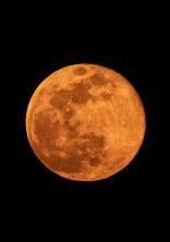 満月の夜に🐰🌕
