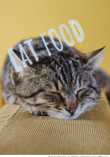 猫ごはん。【kr】