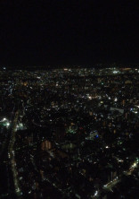 秘密基地