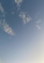 花には爽やかさを