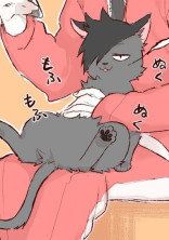 音駒高校男子バレー部マネージャーからの恋